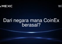 Dari negara mana CoinEx berasal? Dari negara mana CoinEx berasal?
