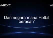 Dari negara mana Hotbit berasal? Dari negara mana Hotbit berasal?