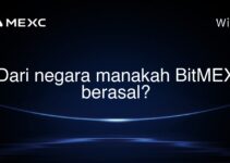 Dari negara manakah BitMEX berasal? Dari negara manakah BitMEX berasal?