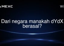 Dari negara manakah dYdX berasal? Dari negara manakah dYdX berasal?