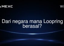Dari negara mana Loopring berasal? Dari negara mana Loopring berasal?