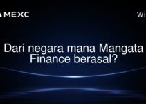 Dari negara mana Mangata Finance berasal? Dari negara mana Mangata Finance berasal?