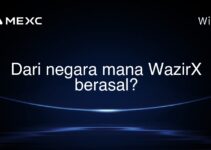 Dari negara mana WazirX berasal? Dari negara mana WazirX berasal?
