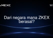 Dari negara mana ZKEX berasal? Dari negara mana ZKEX berasal?