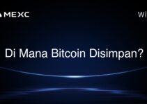 Di Mana Bitcoin Disimpan? Di Mana Bitcoin Disimpan?
