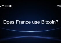 Does France use Bitcoin? Does France use Bitcoin?