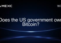 Does the US government own Bitcoin? Does the US government own Bitcoin?