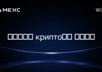 在苏里南, крипто挖矿 合法吗? 在苏里南, крипто挖矿 合法吗?