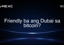 Friendly ba ang Dubai sa bitcoin? Friendly ba ang Dubai sa bitcoin?