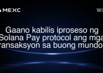 Gaano kabilis iproseso ng Solana Pay protocol ang mga transaksyon sa buong mundo? Gaano kabilis iproseso ng Solana Pay protocol ang mga transaksyon sa buong mundo?