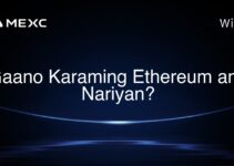 Gaano Karaming Ethereum ang Nariyan? Gaano Karaming Ethereum ang Nariyan?