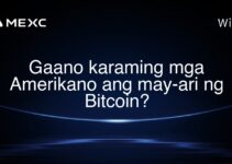 Gaano karaming mga Amerikano ang may-ari ng Bitcoin? Gaano karaming mga Amerikano ang may-ari ng Bitcoin?