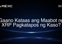 Gaano Kataas ang Maabot ng XRP Pagkatapos ng Kaso? Gaano Kataas ang Maabot ng XRP Pagkatapos ng Kaso?