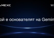 Gemini来自哪个国家? Gemini来自哪个国家?