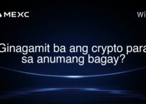 Ginagamit ba ang crypto para sa anumang bagay? Ginagamit ba ang crypto para sa anumang bagay?