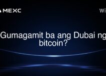 Gumagamit ba ang Dubai ng bitcoin? Gumagamit ba ang Dubai ng bitcoin?
