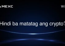 Hindi ba matatag ang crypto? Hindi ba matatag ang crypto?