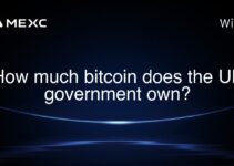 How much bitcoin does the UK government own? How much bitcoin does the UK government own?