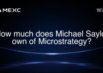 How much does Michael Saylor own of Microstrategy?