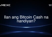 Ilan ang Bitcoin Cash na nandiyan? Ilan ang Bitcoin Cash na nandiyan?
