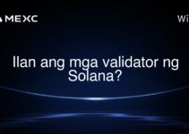 Ilan ang mga validator ng Solana? Ilan ang mga validator ng Solana?