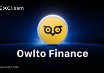 Mis on Owlto Finance? 5 Viisi Punaste Teenimiseks ja Eeliseks Airdrop’ide Saamisel Mis on Owlto Finance? 5 Viisi Punaste Teenimiseks ja Eeliseks Airdrop’ide Saamisel