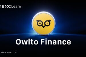 Mis on Owlto Finance? 5 Viisi Punaste Teenimiseks ja Eeliseks Airdrop’ide Saamisel