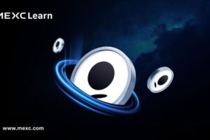 Apa itu Privy? Penjelasan Mendalam tentang Platform Dompet Web3 Perusahaan yang Dipercaya oleh Lebih dari 75 Juta Akun