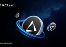 什么是 edgeX?200,000 单每秒链上交易革命的快速指南 什么是 edgeX?200,000 单每秒链上交易革命的快速指南