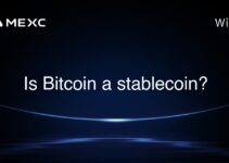 Is Bitcoin a stablecoin? Is Bitcoin a stablecoin?