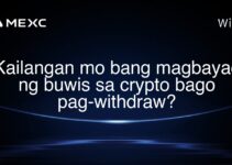 Kailangan mo bang magbayad ng buwis sa crypto bago pag-withdraw? Kailangan mo bang magbayad ng buwis sa crypto bago pag-withdraw?