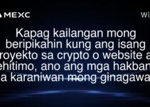 Kapag kailangan mong beripikahin kung ang isang proyekto sa crypto o website ay lehitimo, ano ang mga hakbang na karaniwan mong ginagawa? Kapag kailangan mong beripikahin kung ang isang proyekto sa crypto o website ay lehitimo, ano ang mga hakbang na karaniwan mong ginagawa?