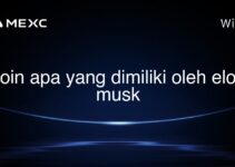 koin apa yang dimiliki oleh elon musk koin apa yang dimiliki oleh elon musk