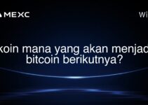 koin mana yang akan menjadi bitcoin berikutnya? koin mana yang akan menjadi bitcoin berikutnya?