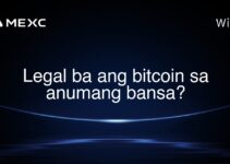 Legal ba ang bitcoin sa anumang bansa? Legal ba ang bitcoin sa anumang bansa?