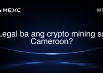 Legal ba ang crypto mining sa Cameroon? Legal ba ang crypto mining sa Cameroon?