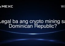 Legal ba ang crypto mining sa Dominican Republic? Legal ba ang crypto mining sa Dominican Republic?