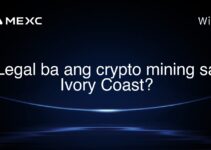 Legal ba ang crypto mining sa Ivory Coast? Legal ba ang crypto mining sa Ivory Coast?