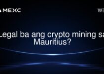 Legal ba ang crypto mining sa Mauritius? Legal ba ang crypto mining sa Mauritius?