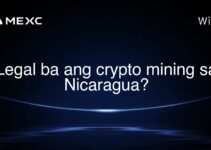Legal ba ang crypto mining sa Nicaragua? Legal ba ang crypto mining sa Nicaragua?