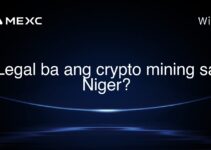 Legal ba ang crypto mining sa Niger? Legal ba ang crypto mining sa Niger?