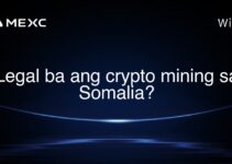 Legal ba ang crypto mining sa Somalia? Legal ba ang crypto mining sa Somalia?