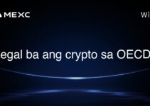 Legal ba ang crypto sa OECD? Legal ba ang crypto sa OECD?