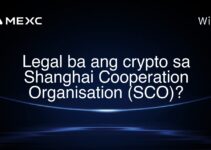 Legal ba ang crypto sa Shanghai Cooperation Organisation (SCO)?