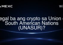 Legal ba ang crypto sa Union of South American Nations (UNASUR)? Legal ba ang crypto sa Union of South American Nations (UNASUR)?