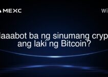 Maaabot ba ng sinumang crypto ang laki ng Bitcoin? Maaabot ba ng sinumang crypto ang laki ng Bitcoin?