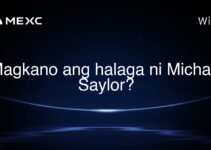 Magkano ang halaga ni Michael Saylor? Magkano ang halaga ni Michael Saylor?