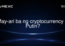 May-ari ba ng cryptocurrency si Putin? May-ari ba ng cryptocurrency si Putin?