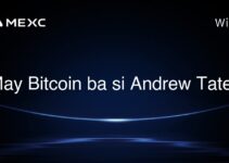 May Bitcoin ba si Andrew Tate? May Bitcoin ba si Andrew Tate?