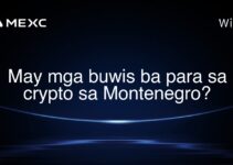 May mga buwis ba para sa crypto sa Montenegro?